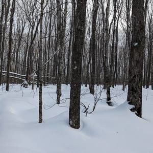 Meet your Posher, Forrest